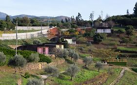 Ecofurtado